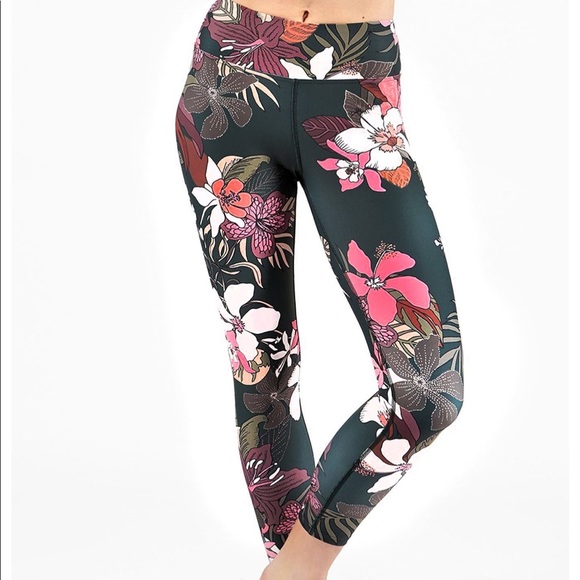 dharma tights